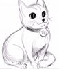Chat, nov. 2012